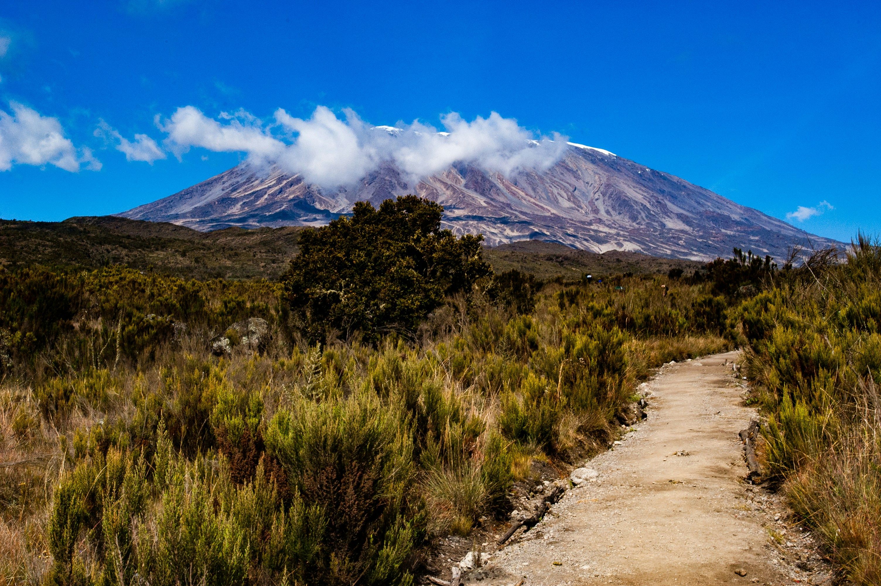 Mount Kilimanjaro hero image